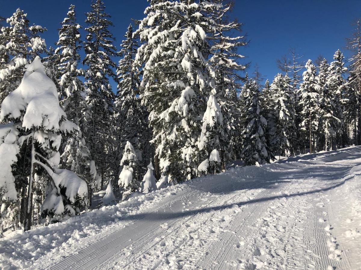 Hotel Alpin Ehrwald Eksteriør bilde